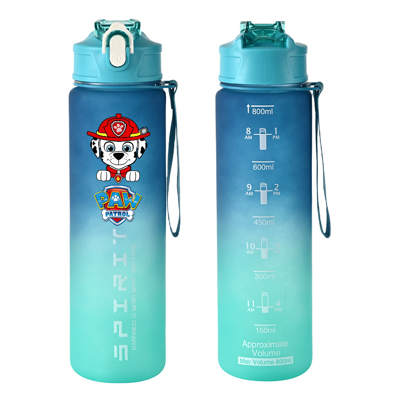 800 ml PAW Patrol Spor Su Şişe - Kids Outdoor Kitchen Accessories incelemesi ve fiyatı